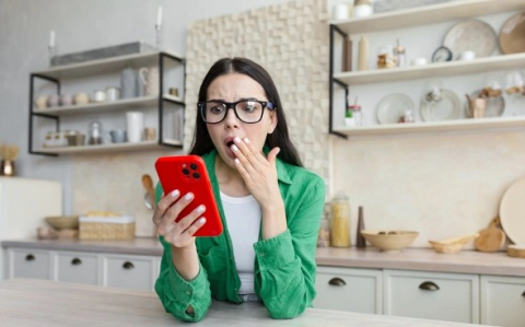 В МВД назвали число квартир, похищенных телефонными мошенниками