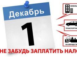 Россиянам осталось 10 дней: как не просрочить оплату налогов