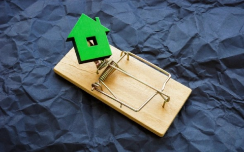 «Эффект Долиной» выявил семь проблем на рынке жилья России