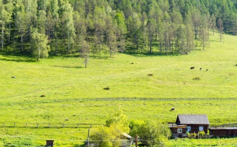 Госдума одобрила поправку о минимальном сроке владения земельным участком 