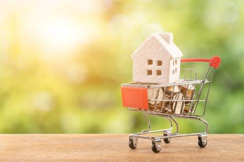 Покупку жилья за наличные хотят запретить