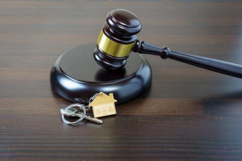 Добросовестного покупателя защитили от схемы Долиной