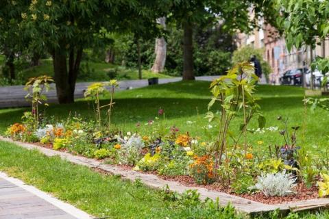 Штрафы за озеленение дворов предложили отменить