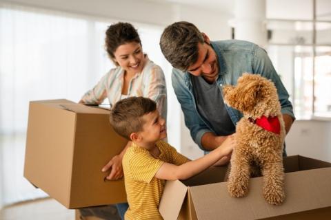 В Госдуме вновь заговорили о компенсации аренды жилья для семей с детьми