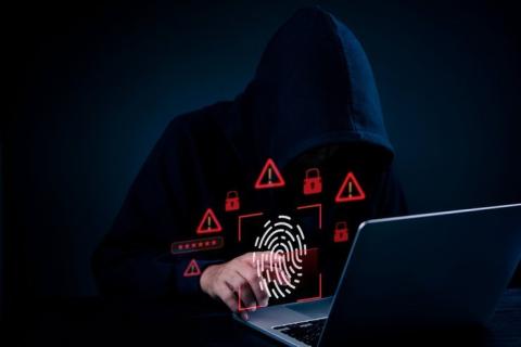 Эксперты: ввод биометрии для сделок с недвижимостью привлечёт мошенников