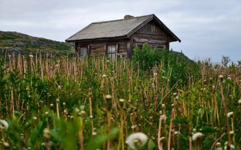 Правила освоения: что нужно сделать, чтобы не изъяли участок