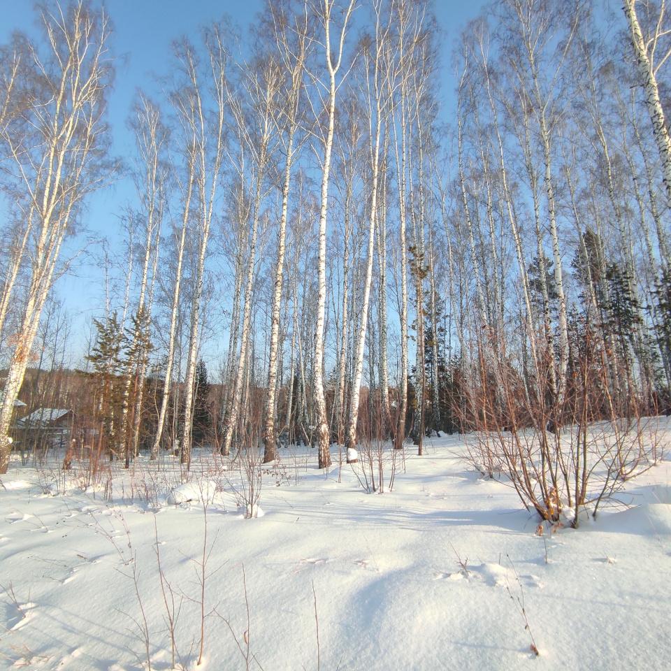 Продажа, загородная, ур. елизаветинское (базальт), 1300000 руб.